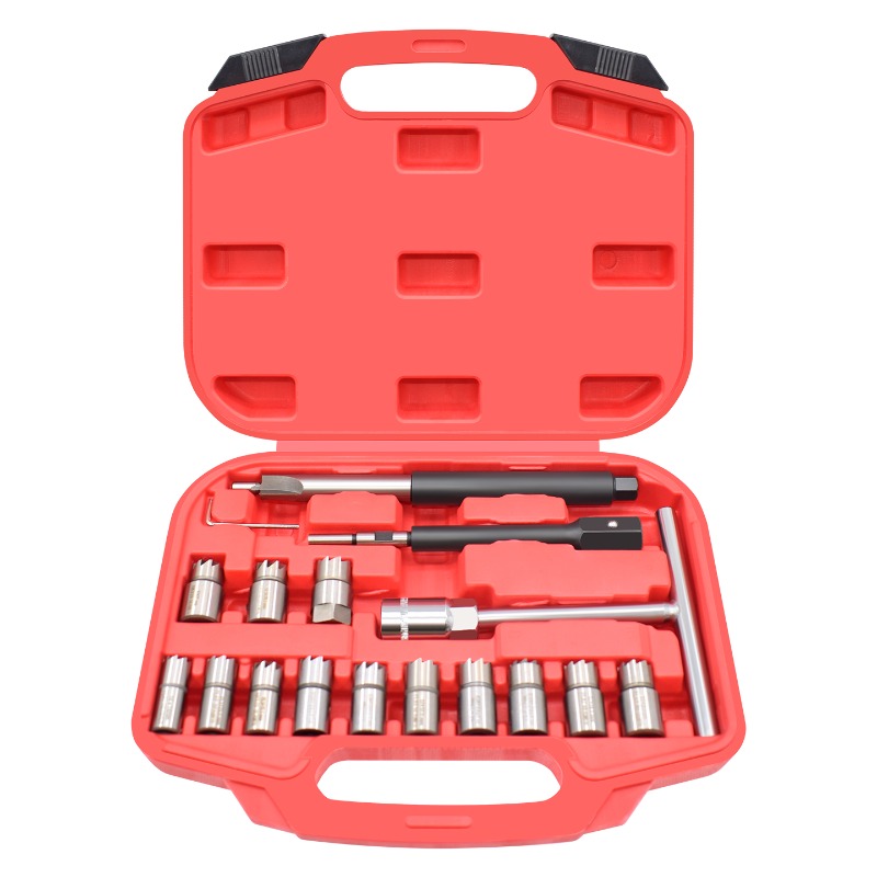 Conjunto de 17 Peças para Limp - Fuel Injector Cleaner avaliação e preço